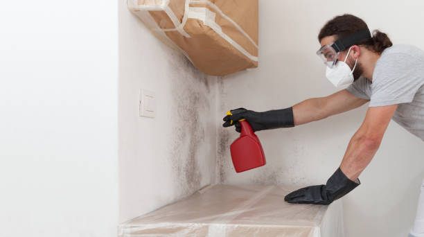 Professional Bathroom Mold Removal technician working in Danvers, MA